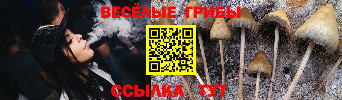 Галлюциногенные грибы Cubensis  Псилоцибиновые грибы ЛСД  купить наркоту  Вход с VPN  Воркута 