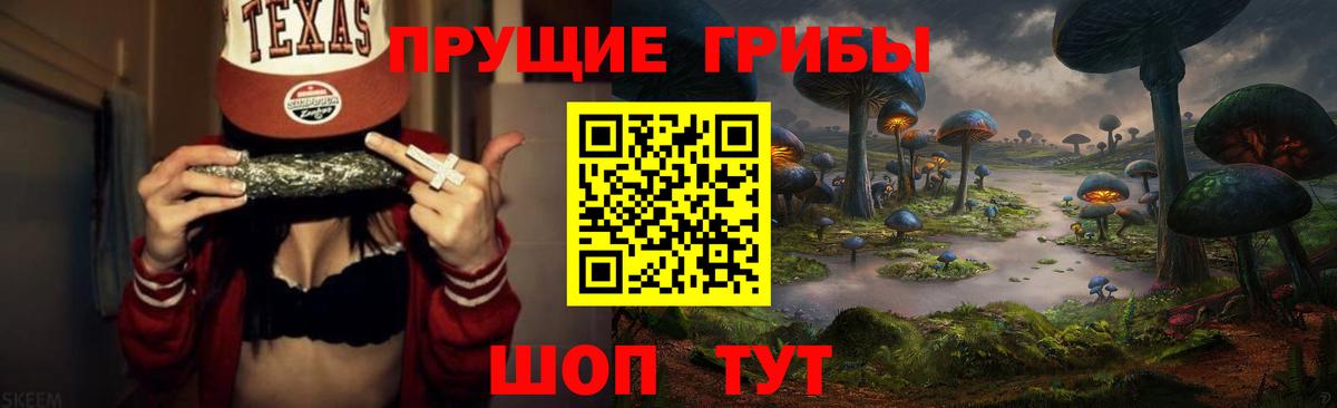 Галлюциногенные грибы прущие грибы Воркута